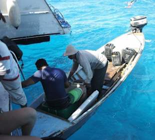 Fischer beim Verkauf