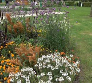 Blühendes Neresheim