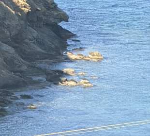 Wandern Agia Pelagia