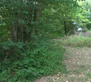 Berg Burgholz Holzelfingen
