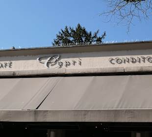 Bei Colle's Eiscafé & Conditorei Capri