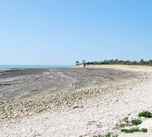 Zdjecia z La Rochelle