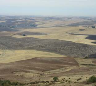 The Palouse