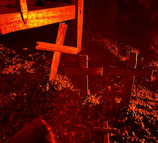 Mondo Verde Halloween