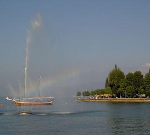 Bellissimo