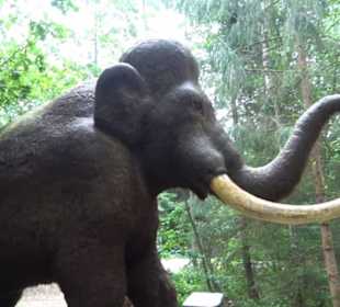 Dinosaurier Museum Altmühltal