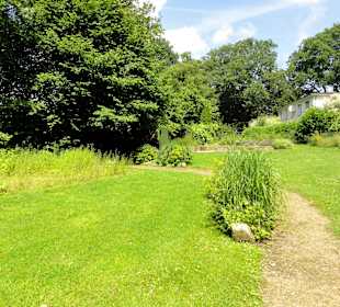 Impressionen aus dem Sinnesgarten Lopshof
