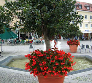 Baumtöpfe am Brunnen
