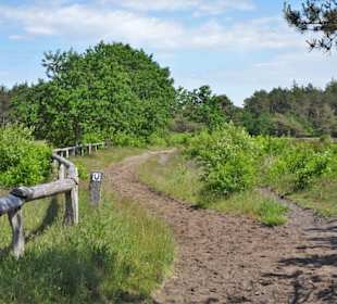 Reitweg in den Küstenheiden