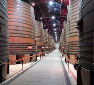 Im Fasslager der Kellerei