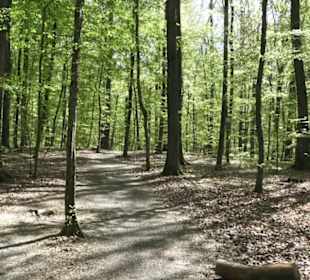 Wanderweg Hochgehwachsen