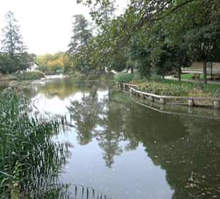 Baumkronenweg Waldkirch