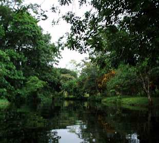 Rzeka nieopodal Tortuguero