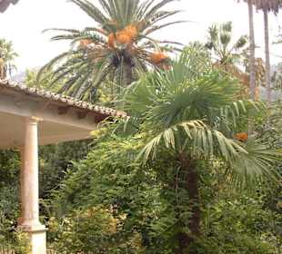 Jardines d`Alfabia
