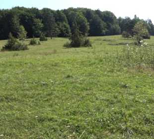 Wacholderheide Sternberg