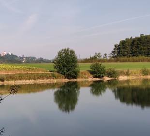 Bei einem Teich vorbei