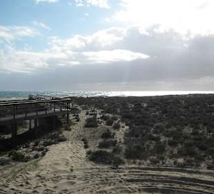 Natur geschützte Insel