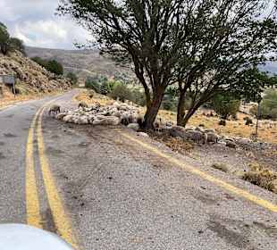 Wandern Georgioupolis