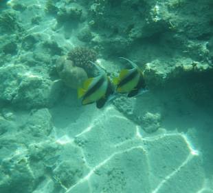 Sharm El Naga