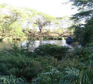 Mzima Springs