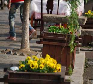 Blumendekoration am Kanal