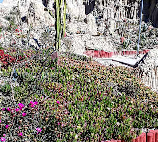 Valle de la Luna