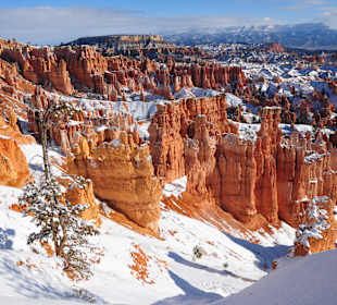 Bryce Canyon