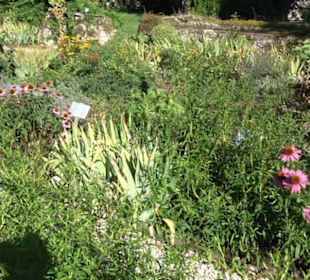 Klosterkirche Maria Gnadenzell