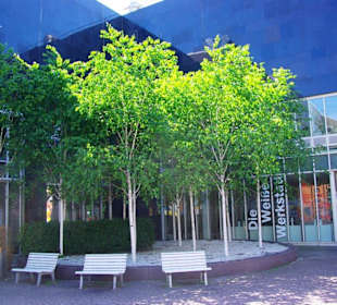 Sitzmöglichkeiten an der alten Stadtmauer