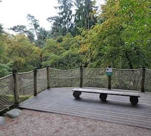 Rundgang durch den Wildpark Schwarze Berge