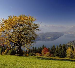 Herbst am Millstätter See - Ausblick vom Mirnock
