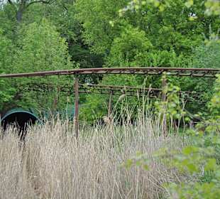 Spreepark Plänterwald
