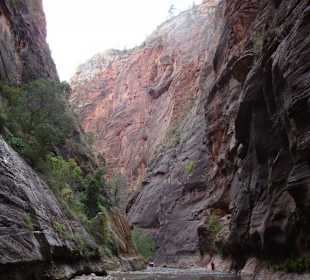 Virgin River im Zion Canyon