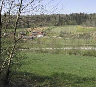 Waldlehrpfad an der Lauter