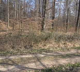 Geologischer Lehrpfad Kirnbachtal