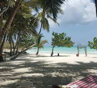 Saona