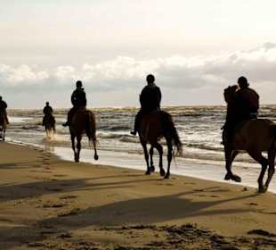 Impression aus unserem Reitausflug am Roten Meer