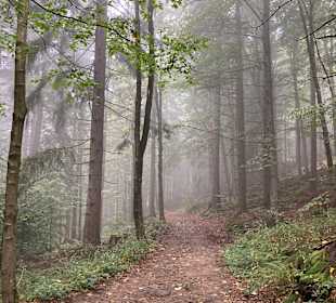 Wandern Drachselsried