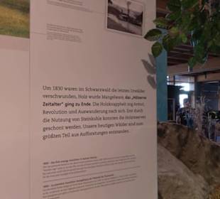 Haus der Natur