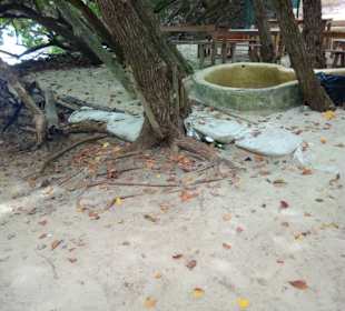 Müll und Leergut wohin das Auge blickt