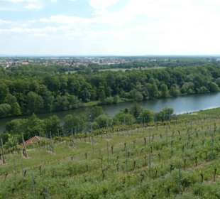 Auf den Rundwanderweg Höllental und Mainblick