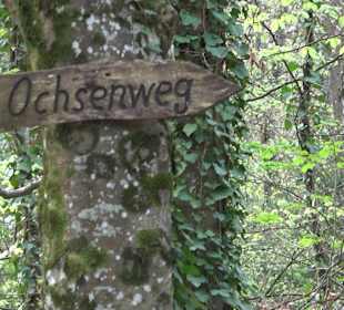 Walderlebnisweg Rottenburg