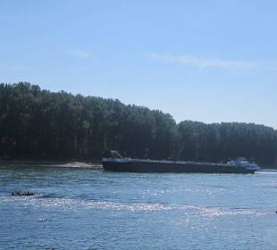 Am Rhein bei Germersheim