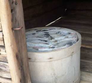 Fass in einer Fischerhütte