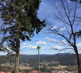 Wandern Mitterfirmiansreut