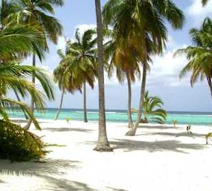 Ausflug zur Insel Saona