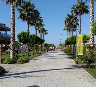 Weg zum Strand!