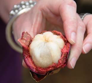 Mangosteen - Frucht