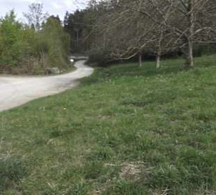 Wanderweg Firstwaldrunde