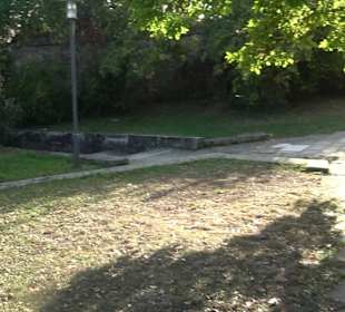 Martinskirche Neckartailfingen